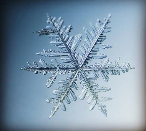 These gorgeous close-up photos of snowflakes will give you a newfound appreciation for winter