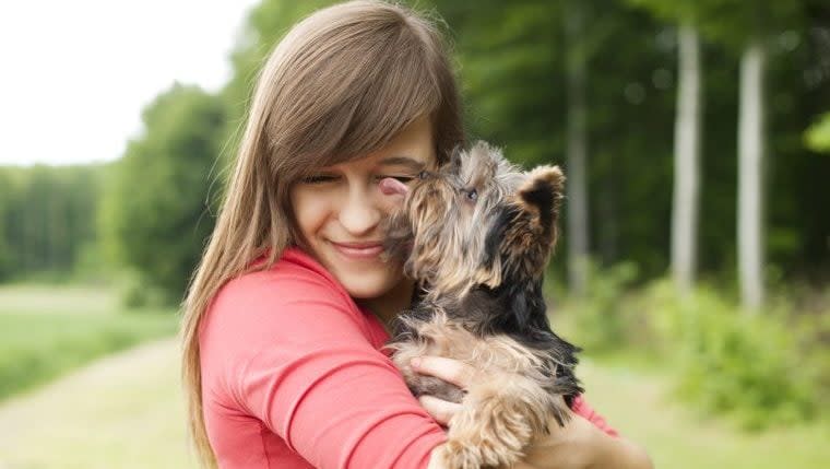 Woman Finds Dog Hidden in Car Engine