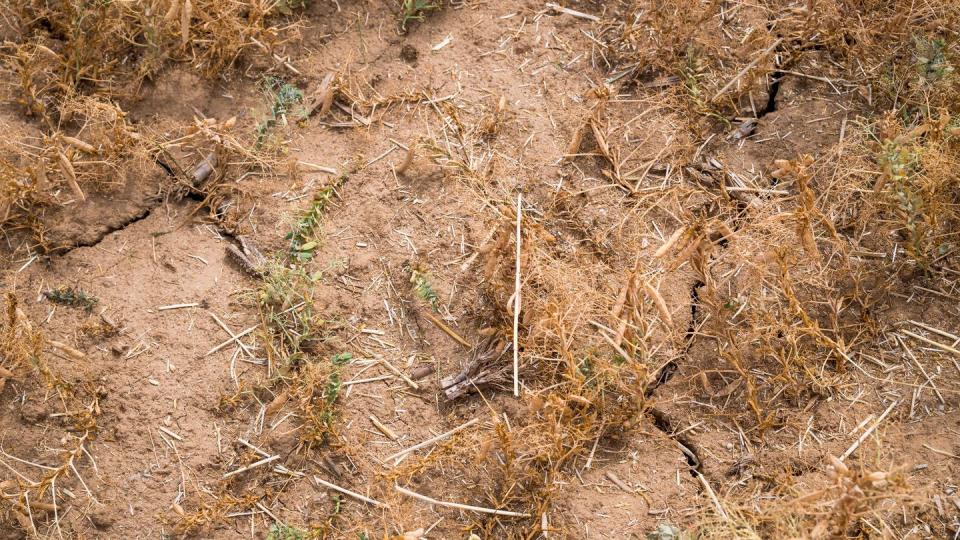 Der Juli ist so heiß wie noch nie. (Bild: Daniel Vogl/dpa)