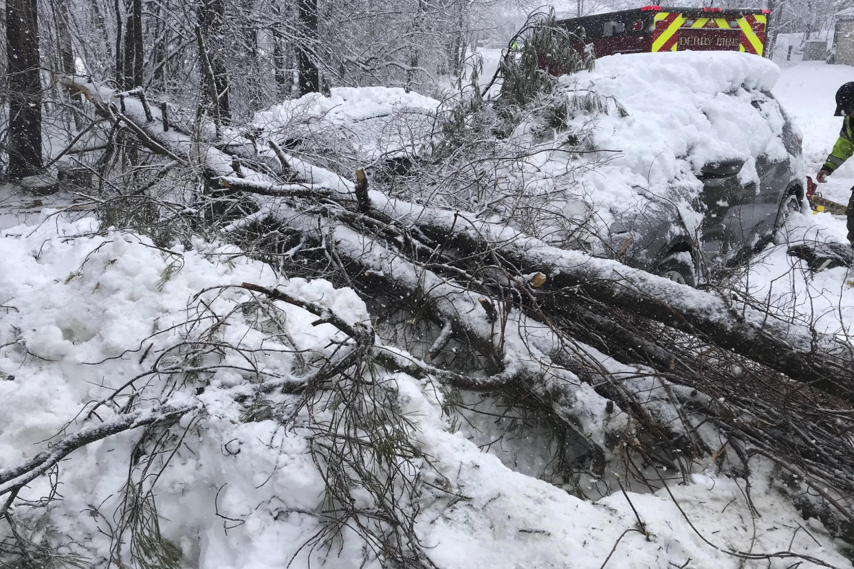 This photo released by the Derry Fire Department on Tuesday, March, 14, 2023, shows a tree that fell on a child in Derry, N.H. Authorities said the girl had been playing outside near a parent who was clearing snow when the tree fell on her. The girl was taken to a hospital with minor injuries. (Derry Fire Department via AP)