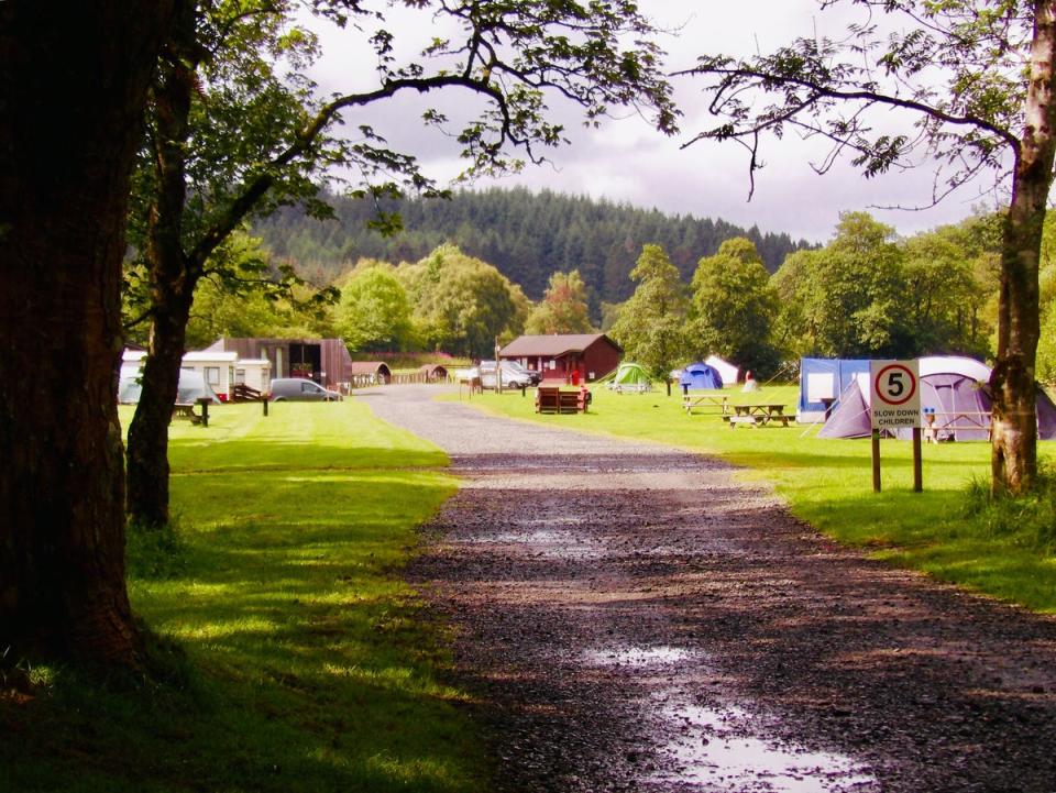 This forest campsite is just three miles shy of the Scottish border (Kielder Campsite)
