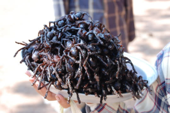 Fried Tarantulas (Cambodia and other Asian countries)