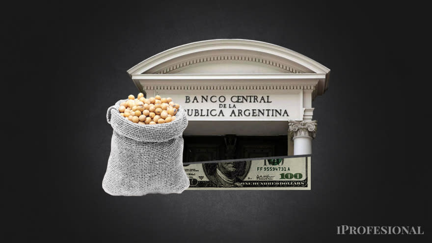 El nuevo dólar preferencial para el agro también podría tener impacto inflacionario al encarecer actividades conexas, advierten en el campo