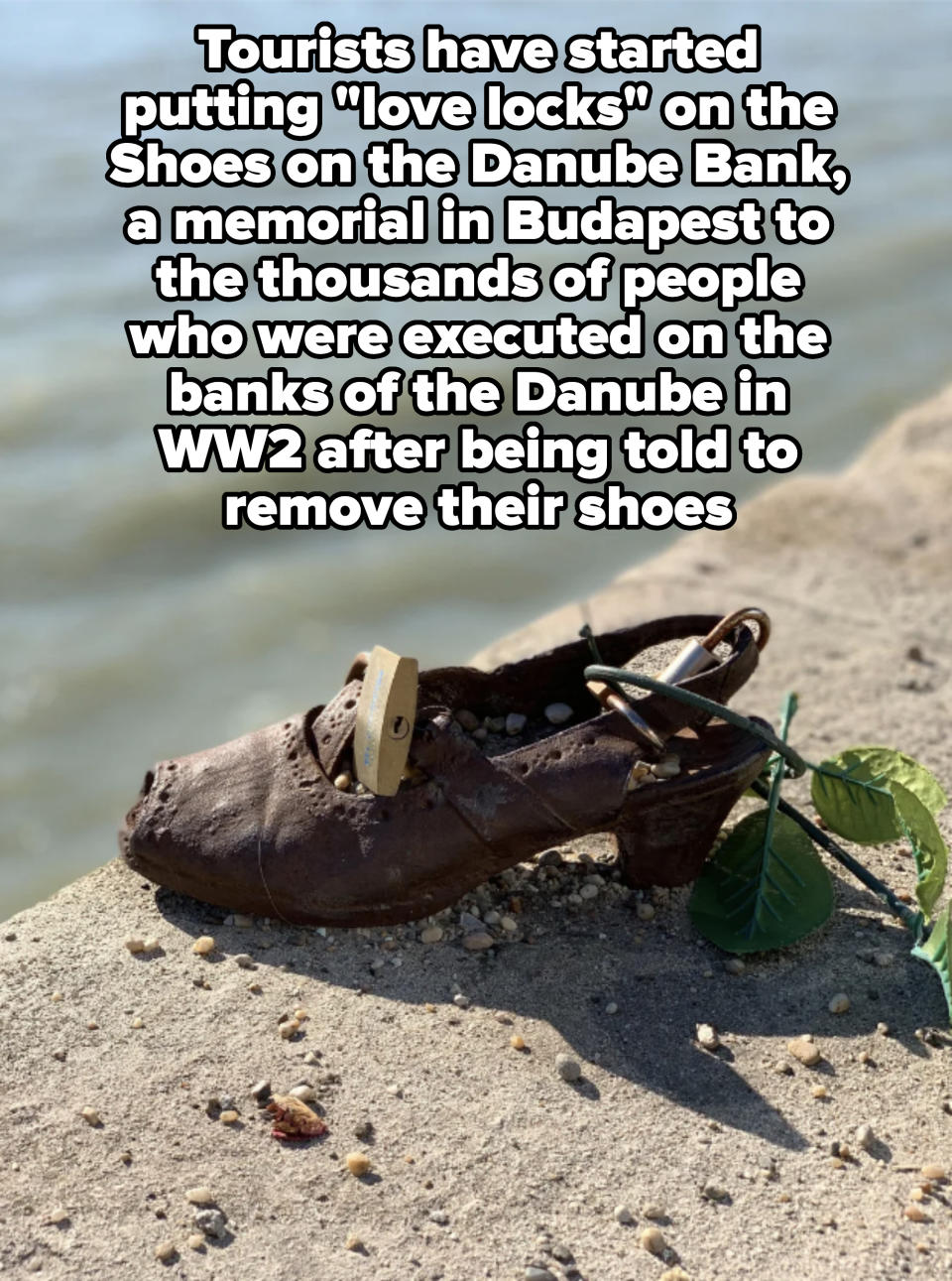 A single, worn shoe with a small wooden block inside, placed on sandy ground near water with a leaf to the side