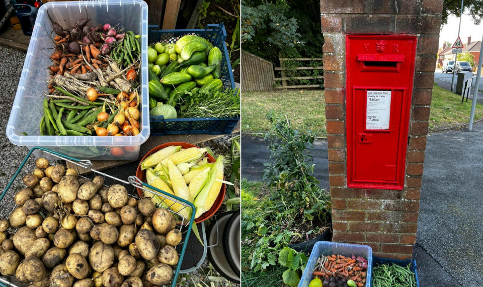 Christopher Jones gave away his home-grown produce, leaving it at postboxes for people to collect. (SWNS)