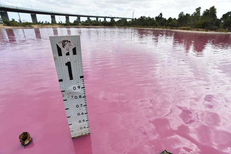 General view of the pink lake at Westgate Park, Melbourne.