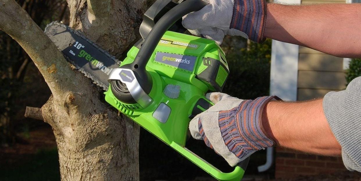 greenworks 10 inch cordless mini chainsaw