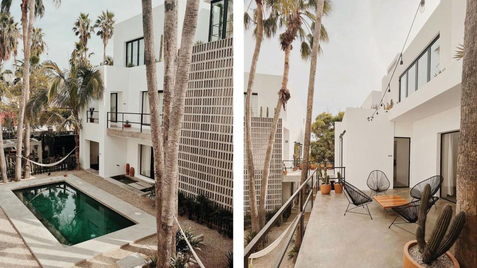 Views of the courtyard pool and patio with palm trees and cacti plants