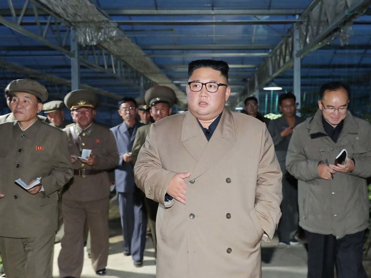 North Korean leader Kim Jong-un visits a vegetable greenhouse farm and tree nursery under construction in Kyongsong county: AFP via Getty Images