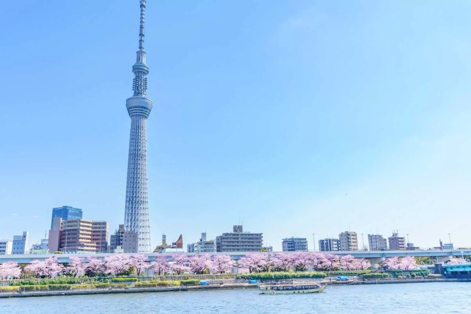 日本櫻花2024｜東京賞櫻團一日遊推介！遊盡三大賞櫻勝地千鳥淵／淺草隅田川／目黑川夜櫻 只限3團、周末出發