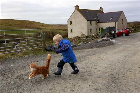 Five-year-old Roan plays with the family cat as his father Ronnie Eunson (unseen) prepares breakfast in their croft near the village of Scalloway on the Shetland Islands April 1, 2014. REUTERS/Cathal McNaughton