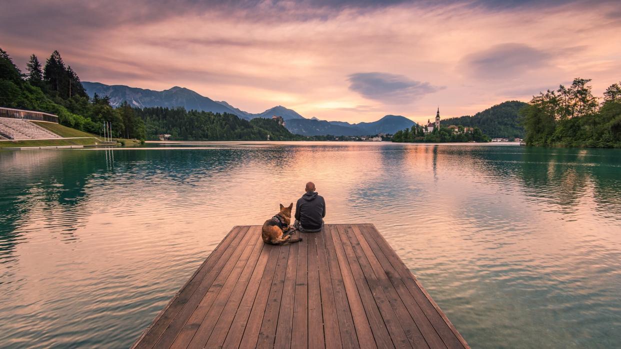 Man and dog sitting on wooden deck at Bled lake, Slovenia watching sunrise.