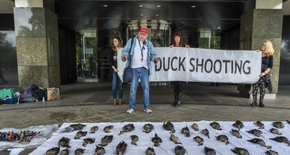 Veteran campaigner Laurie Levy (centre) in front of an anti-duck shooting sign. There are dead ducks on a sheet in the foreground.