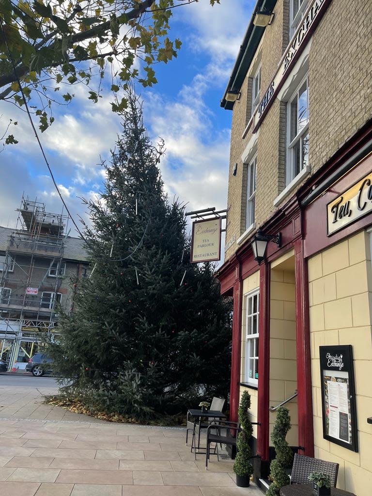 Hacked-off residents in March, Cambridgeshire, were left furious at their town’s 'wonky' Christmas tree. (SWNS)