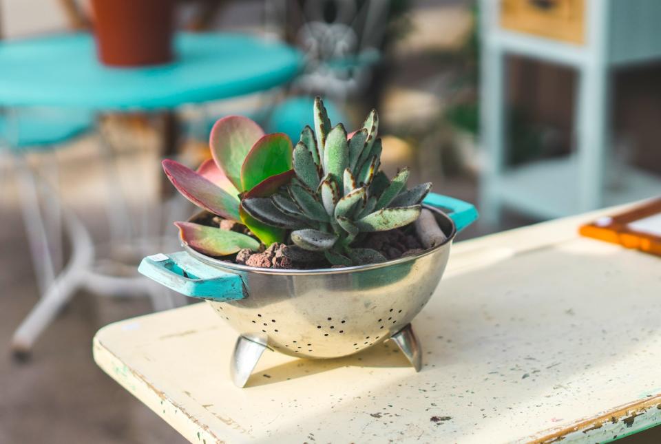 Colander turned into a DIY planter