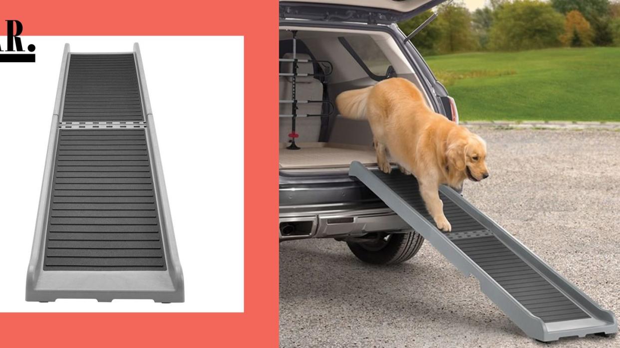 best dog car ramps