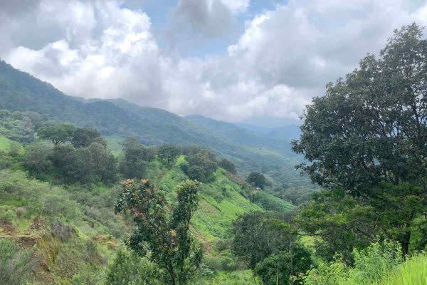 Vista de la Sierra de Manantlán. 