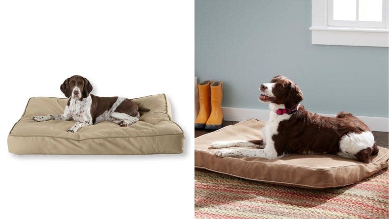 Treat your pup to the ultimate in canine relaxation.