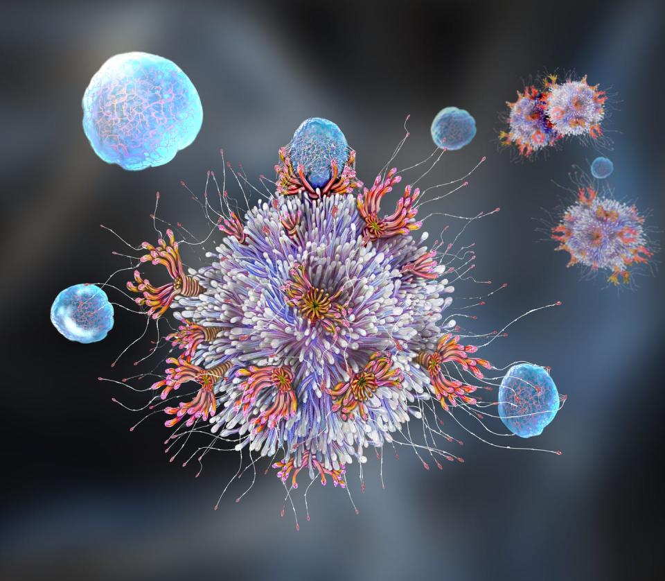 A coronavirus particle with antibodies binding to the spike proteins.