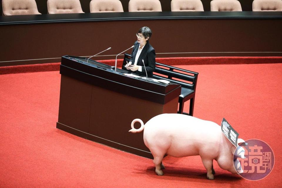 蔡壁如質疑，2013年還有民進黨立委出來抗議表示反對瘦肉精豬肉，是否只是為反對而反對。