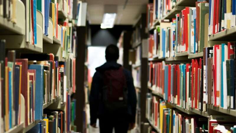 Student in school library