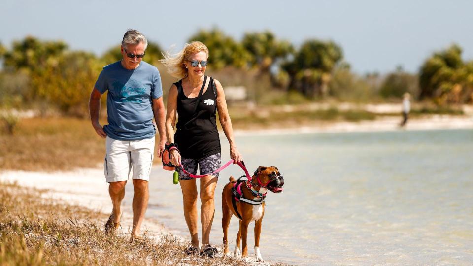 Couple walking dog near lake