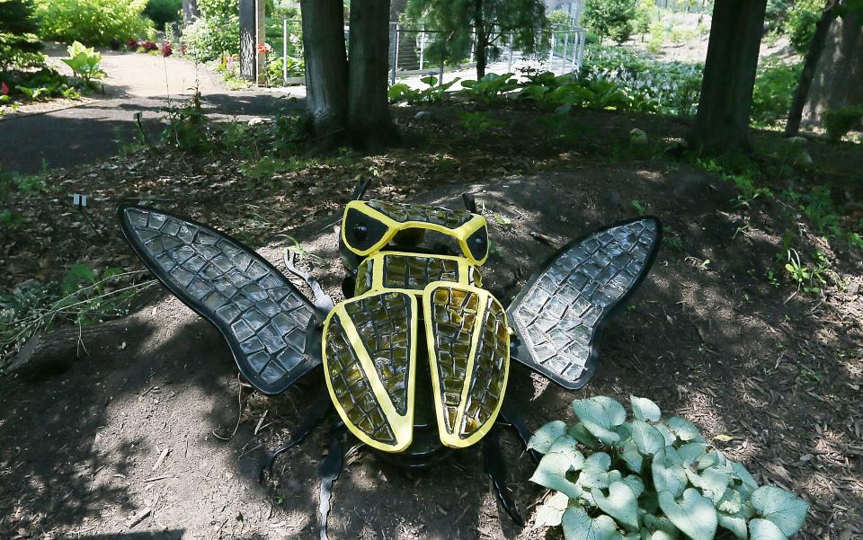 Yellow Stag Beetle sculpture is part of the Glass in Flight exhibition by Alex Heveri at Reiman Gardens in Ames.
