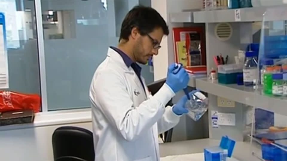 As a new year dawns, the discovery by Australian researchers brings hope of a breast cancer cure. Photo: 7 News