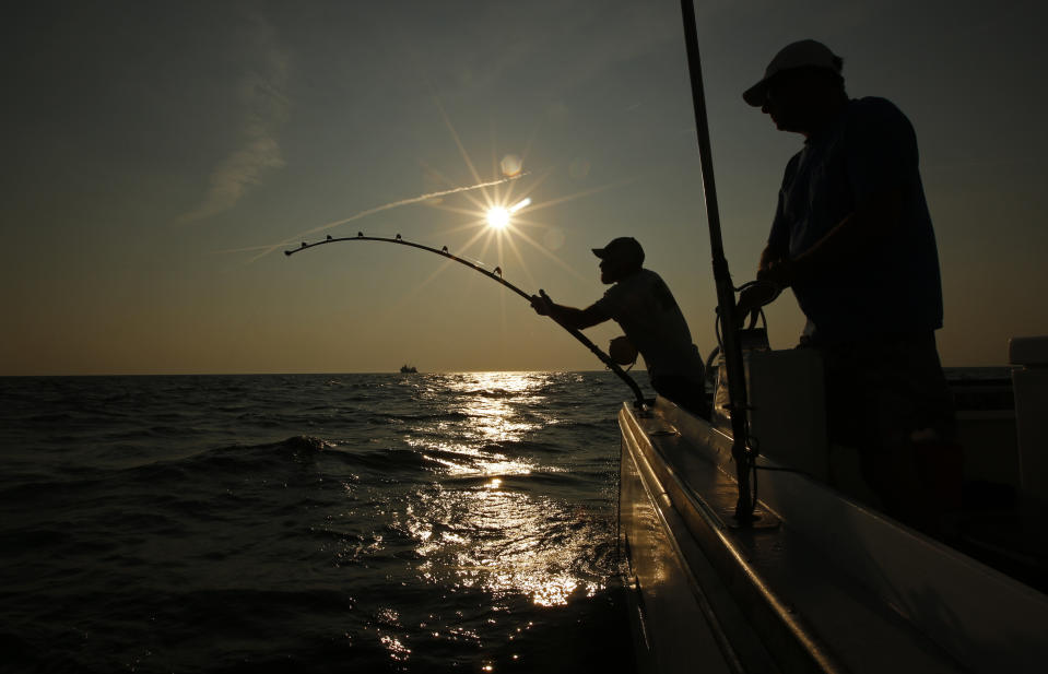 FILE - Andrew Lebel battles an Atlantic bluefin tuna while Capt. Pete Speeches maneuvers his boat into position about 20 miles off the coast of southern Maine on Aug. 6, 2018. This year’s marine heat waves and spiking ocean temperatures foretell big changes in the future for some of the largest fish in the sea, such as sharks, tunas and swordfish. (AP Photo/Robert F. Bukaty, File)