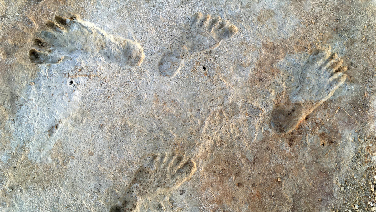  Fossilized human footprints in beige and white sand at White Sands in New, Mexico. 