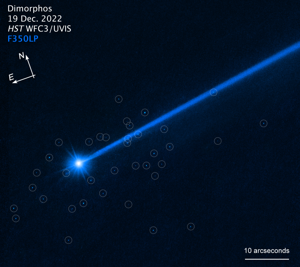 Image of the asteroid Dimorphos, with compass arrows, scale bar, and color key for reference. The north and east compass arrows show the orientation of the image on the sky. Note that the relationship between north and east on the sky (as seen from below) is flipped relative to direction arrows on a map of the ground (as seen from above). The bright white object at lower left is Dimorphos. It has a bluish dust tail extending diagonally to the upper right. A cluster of blue dots (marked by white circles) surrounds the asteroid. Hubble photographed the slow-moving boulders using the Wide Field Camera 3 in December 2022. The color results from assigning a blue hue to the monochromatic (grayscale) image.