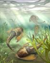 This illustration provided by Qiuyang Zheng in September 2022 depicts Tujiaaspis vividus, one of the fossil fish, more than 400 million years old, which were found by researchers in southern China, announced in a series of studies published in the journal Nature on Wednesday, Sept. 28, 2022. The fossils date back to the Silurian period when scientists believe our backboned ancestors, who were still swimming around on a watery planet, may have started evolving teeth and jaws around this time. (Qiuyang Zheng via AP)