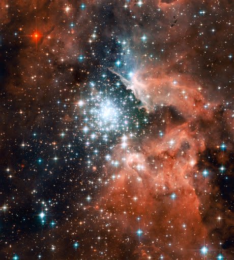 This image provided by NASA Tuesday Oct. 2, 2007 shows a Hubble Space Telescope image of thousands of sparkling young stars nestled within the giant nebula NGC 3603. This stellar "jewel box" is one of the most massive young star clusters in the Milky Way Galaxy. NGC 3603 is a prominent star-forming region in the Carina spiral arm of the Milky Way, about 20,000 light-years away. This latest image from NASA's Hubble Space Telescope shows a young star cluster surrounded by a vast region of dust and gas. The image reveals stages in the life cycle of stars. AP Photo/NASA)