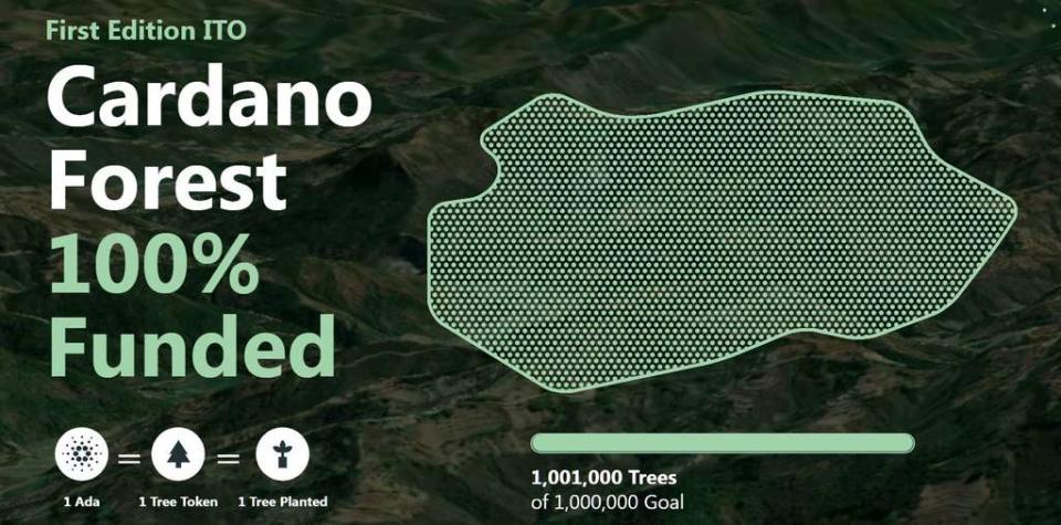 Sur son site Web, Veritree annonce qu&#39;un million d&#39;arbres de la Cardano Forest ont &#xe9;t&#xe9; plant&#xe9;s. &#xa9; VeriTree