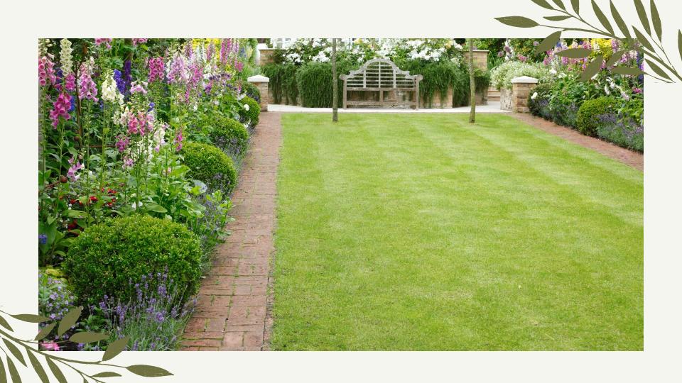  A backyard with a healthy lawn surrounded by  flowerbeds to support an article which asks can you scarify a wet lawn 