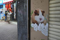 CORRECTS TO SAY 2,000 SMALL ANIMALS, NOT 2,000 HAMSTERS - A pet shop is closed after some pet hamsters were, authorities said, tested positive for the coronavirus, in Hong Kong, Tuesday, Jan. 18, 2022. Hong Kong authorities said Tuesday that they will kill about 2,000 small animals, including hamsters, after several tested positive for the coronavirus at the pet store where an employee was also infected. (AP Photo/Kin Cheung)