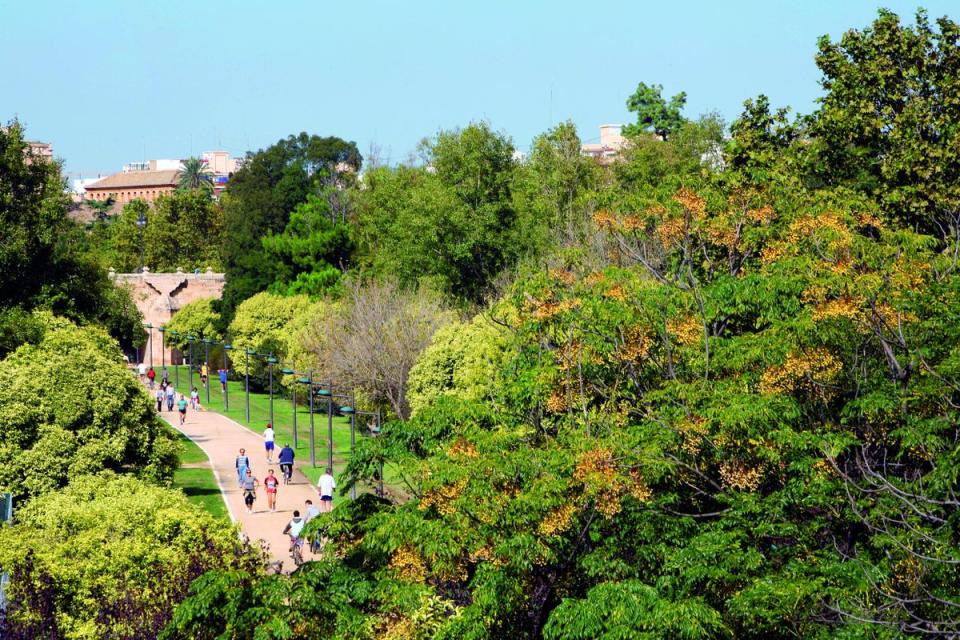 The Jardines del Turia are the green lungs of the city (Visit Valencia)