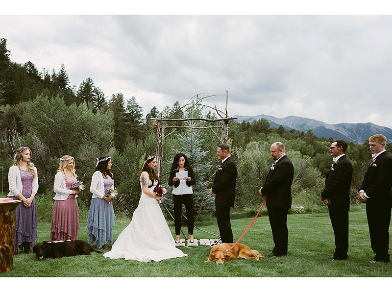 Colorado Bride's Dying Dog Carried Down Aisle at Her Wedding: 'He Had the Biggest Smile on His Face'| Wedding, Real People Stories
