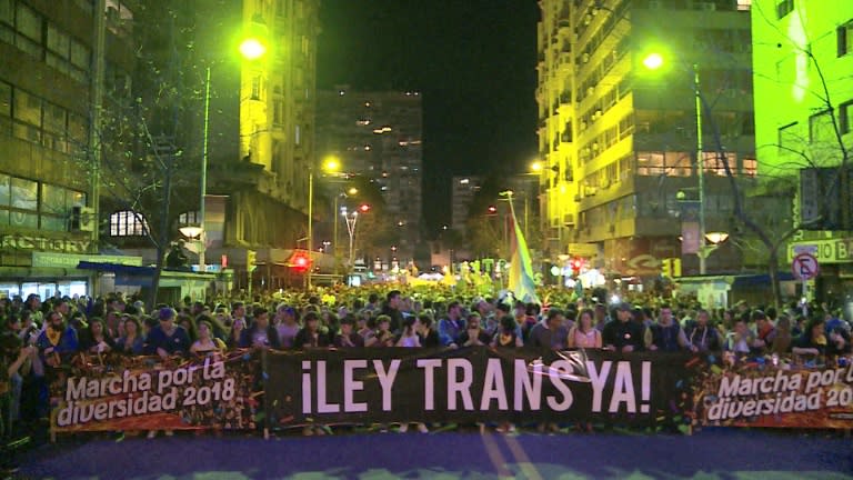 Congreso uruguayo aprueba ley de equidad para personas trans