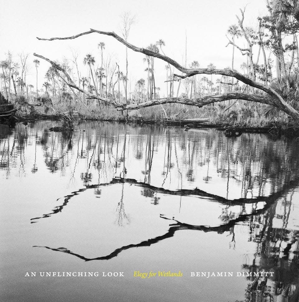 Benjamin Dimmitt will be doing an event at Midtown Reader for his "An Unflinching Look: Elegy for Wetlands," at 6:30 p.m. Thursday, Feb. 22, 2024.