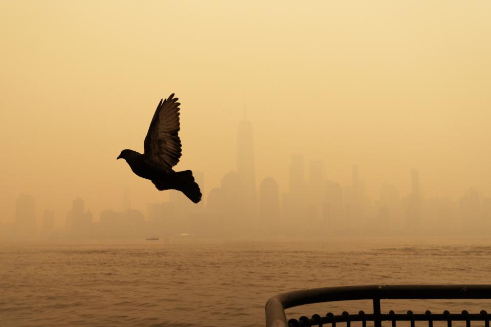 A heavy haze of smoke from the forest fires in Canada have obscured the New York City Skyline seen from Jersey City, NJ on Wednesday June 7, 2023. People walking along the water front stopped to take photos and where wearing masks due to the smoke in the air. 