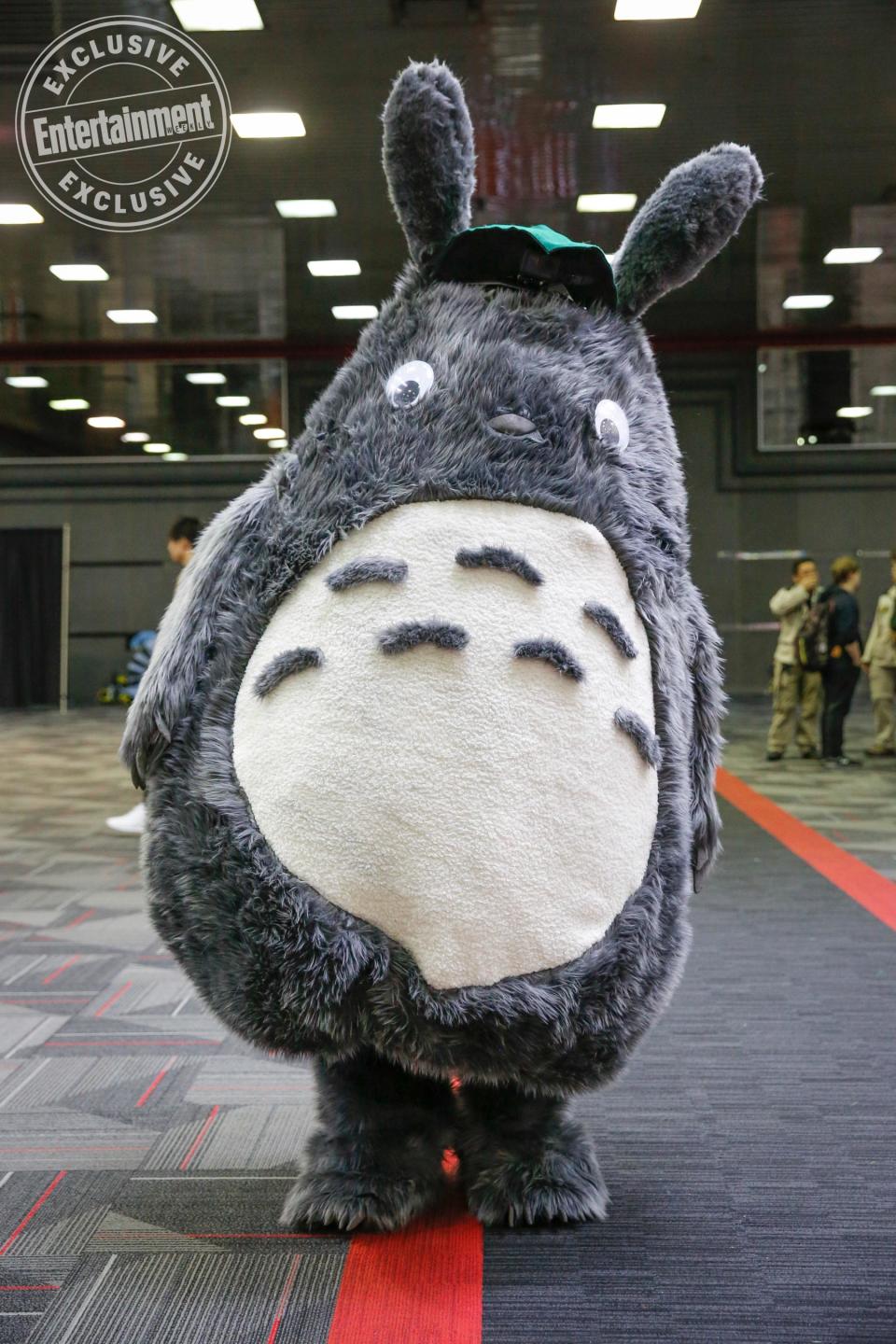 Totoro from My Neighbor Totoro cosplayer