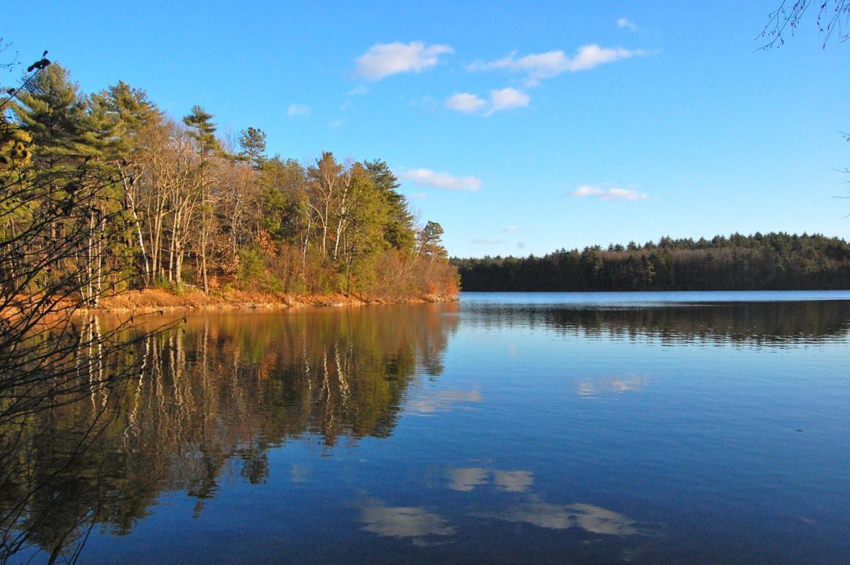 <span class="caption">Walden Pond in Concord, Massachusetts.</span> <span class="attribution"><a class="link " href="https://commons.wikimedia.org/wiki/File:Walden_Pond,_2010.jpg" rel="nofollow noopener" target="_blank" data-ylk="slk:ptwo/Wikipedia;elm:context_link;itc:0;sec:content-canvas">ptwo/Wikipedia</a>, <a class="link " href="http://creativecommons.org/licenses/by/4.0/" rel="nofollow noopener" target="_blank" data-ylk="slk:CC BY;elm:context_link;itc:0;sec:content-canvas">CC BY</a></span>