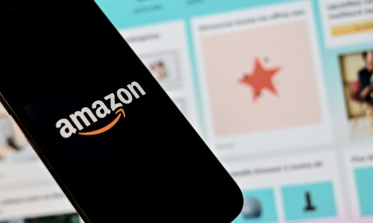 Amazon est l'éditeur idéal pour les auteurs qui recourent à l'intelligence artificielle (IA), mais gare aux déceptions pour les acheteurs (DENIS CHARLET)