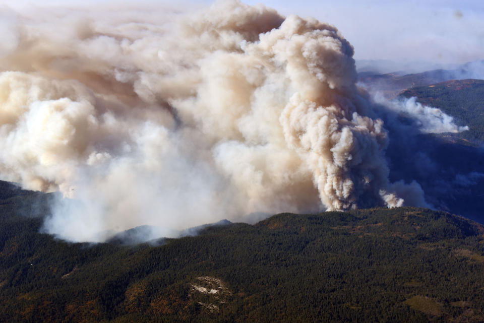 Heavy smoke blankets the forest where the Camp Fire burned heavily near Paradise, California (Picture: PA)