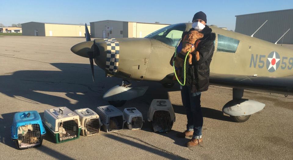 Eduard Seitan prepares to fly dogs and cats in crates to safety. (Courtesy of Eduard Seitan)