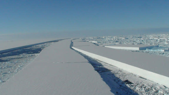 An image of the Wilkins Ice Shelf disintegration taken from the British Antarctic Survey's Twin Otter aircraft reconnaissance flight.