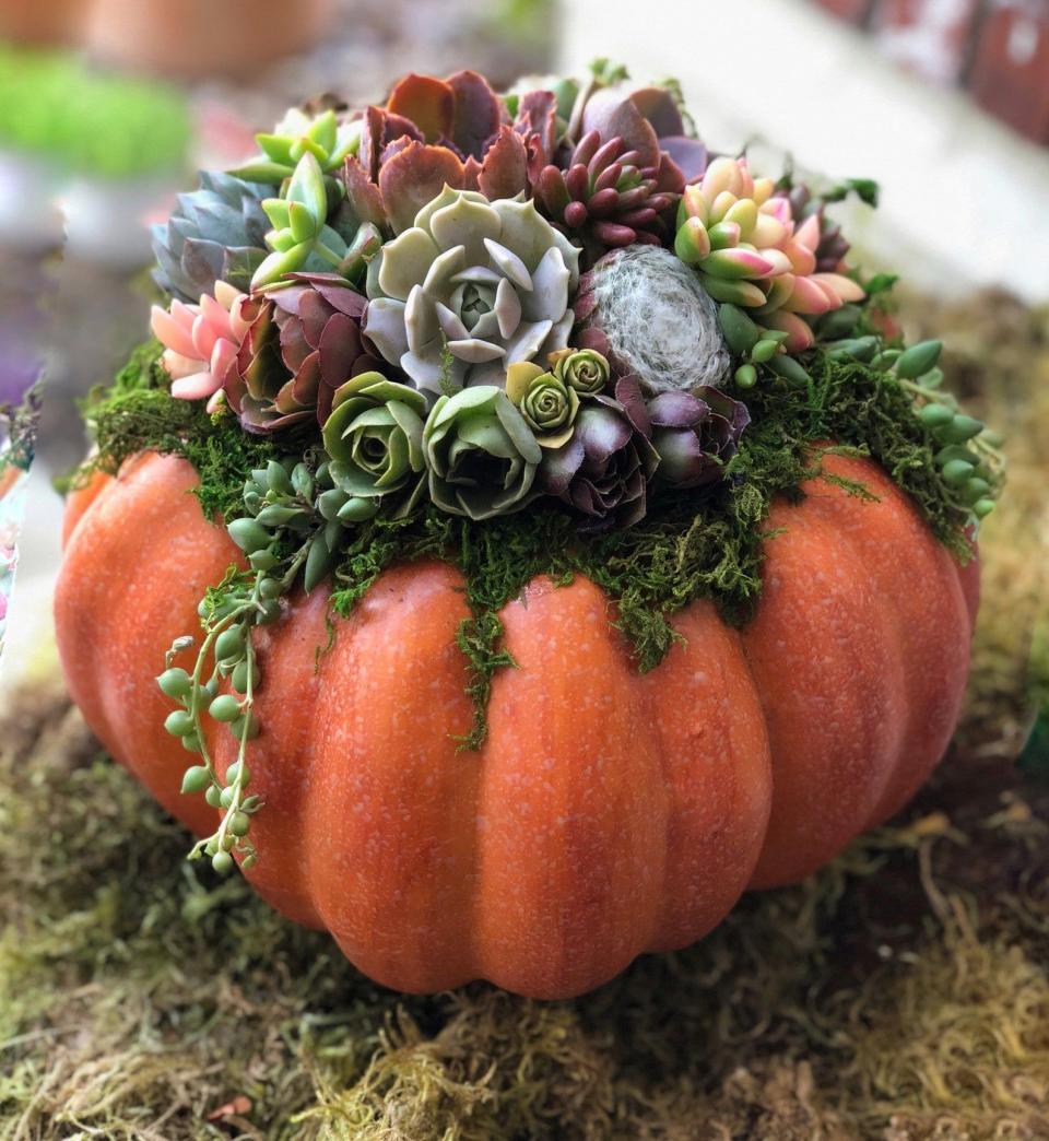 18) Succulent Centerpiece