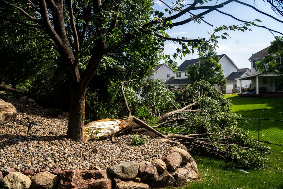 Tree damage is seen in the backyard of John Hoberg after a severe storms passed through the area on Tuesday, July 16, 2024, in Urbandale.