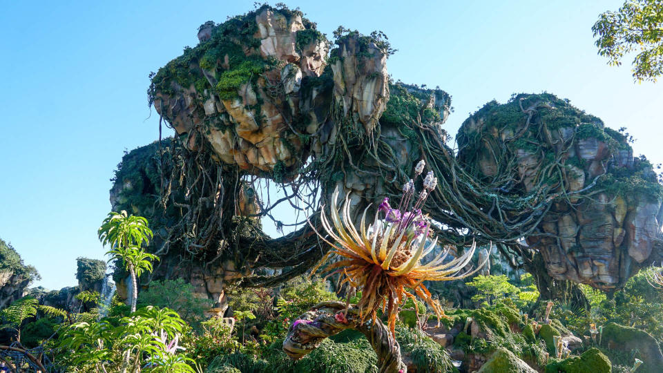 Pandora ? The World of Avatar is a themed area inspired by James Cameron's 2009 film Avatar. It is located within Disney's Animal Kingdom theme park at the Walt Disney World Resort in Bay Lake, Florida